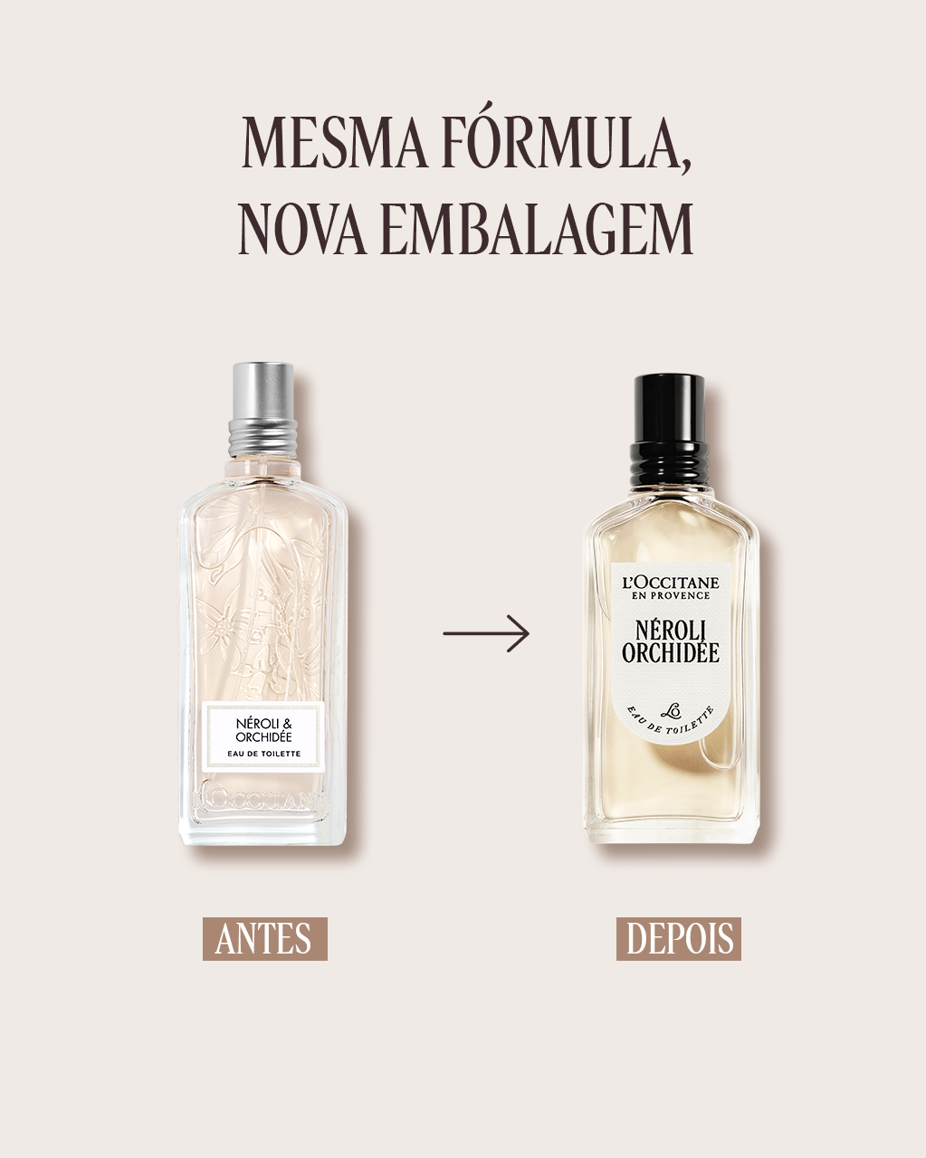 Eau de Toilette Néroli Orchidée 50mL (Néroli & Orquídea) | L